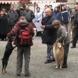 brandys_2004_06.jpg