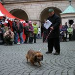 brandys_2008_16.jpg