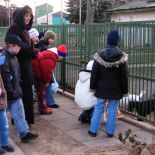 vanoce_2007_11.jpg
