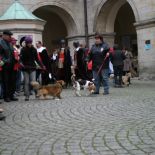 brandys_2008_10.jpg