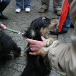 brandys_2008_03.jpg