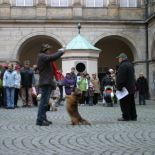 brandys_2008_14.jpg