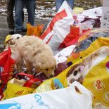 vanoce_2009_16.jpg