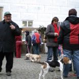 brandys_2008_12.jpg